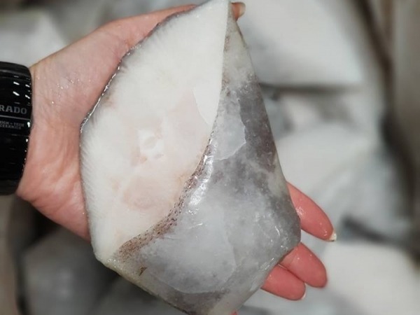 《免運》特大鱈魚尾(扁鱈) (比目魚) 每箱淨重2kg 約12-13片左右 