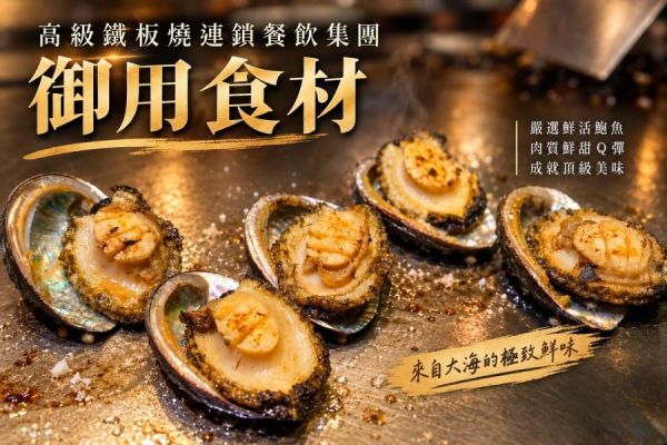 (免運)御品半殼巨無霸鮑魚 2~3顆 淨重550g 正負10%(禮盒裝) 