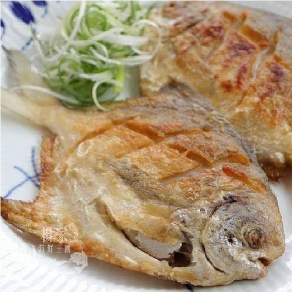 野生白鯧 200g以上/尾 