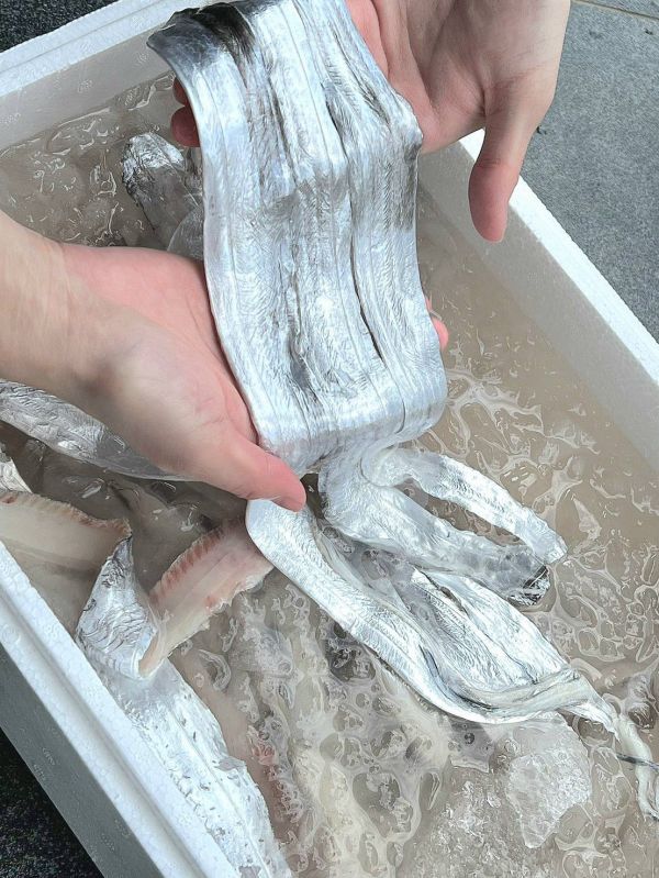 (限時特惠)去刺白帶魚清肉每包500克 