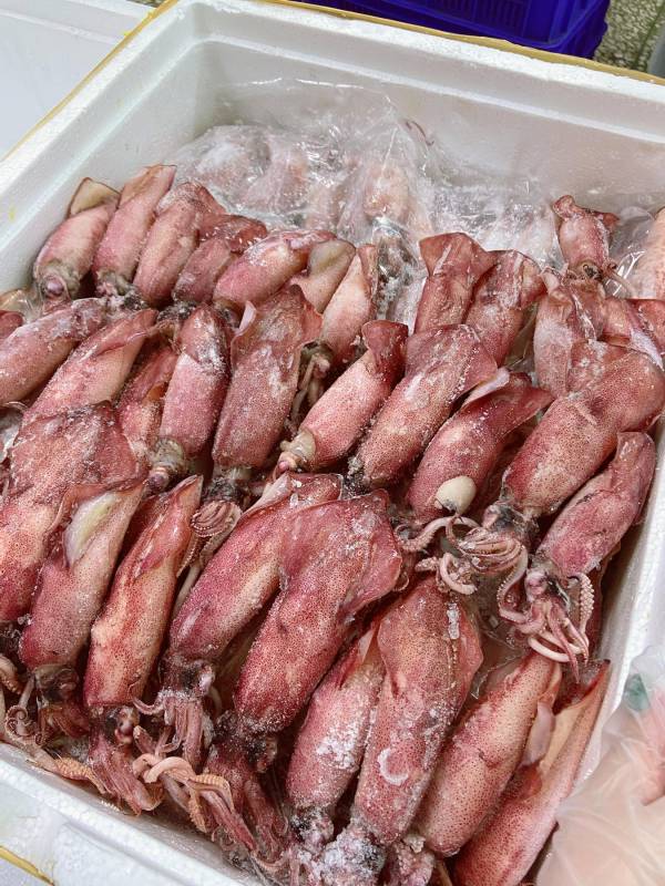 爆卵小卷(透抽) 每包 600g / 約6-15尾 