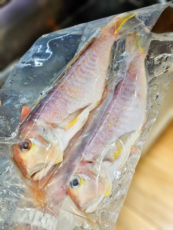 (免運)野生馬頭魚 (去鱗去鰓去肚)  每隻200g 以上  *10尾/組 