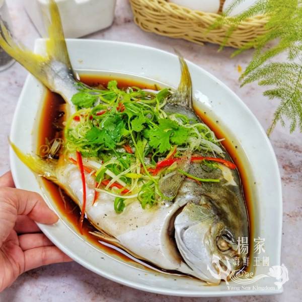 富貴黃金鯧500g上/尾 