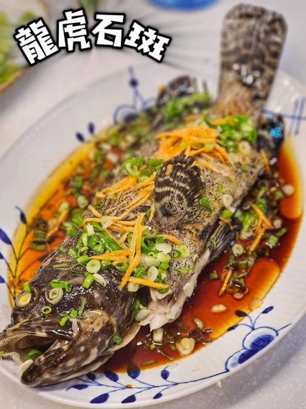 (中元特惠) 龍虎石斑 500g 以上 (去鱗去腮去肚) 