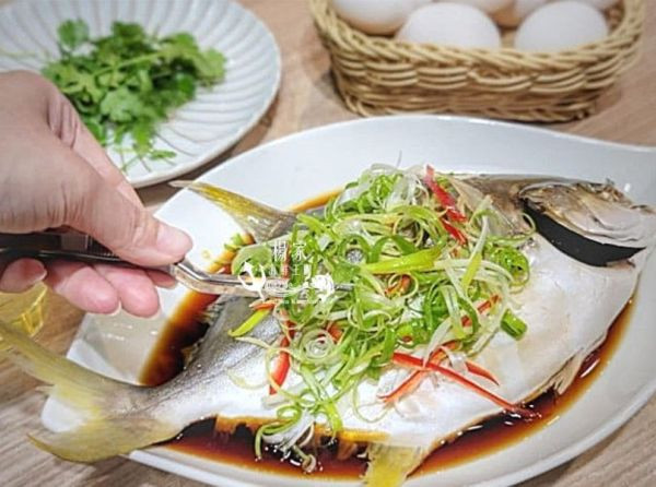 台灣純海水生長【黃金鲳】 每隻超過600g 無包冰純重呦!! 