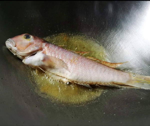 野生馬頭魚 (去鱗去鰓去肚) 每隻200g 以上 