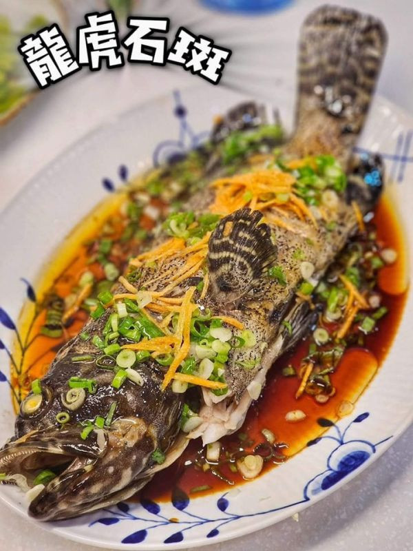 龍虎石斑 600g 以上 (去鱗去腮去肚) 贈川燒豆瓣醬 *1包 
