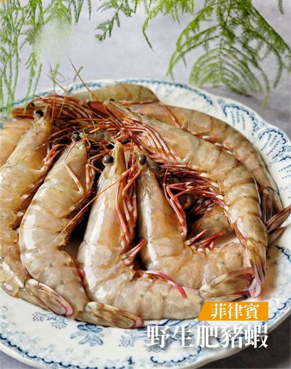 (限時特價) 野生肥豬蝦 約11-12隻 500g 隨機出貨 