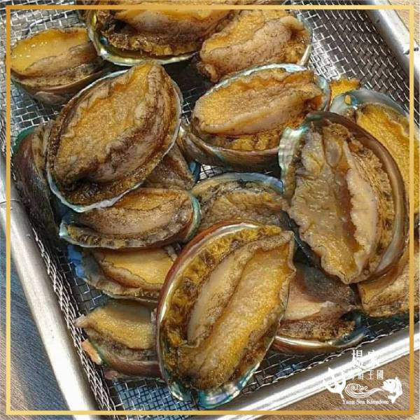 (限時免運)御品半殼大鮑魚 *3包組 10~12顆 淨重550g 