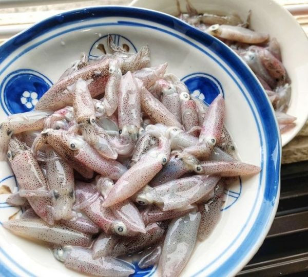 《免運》野生咪咪小卷 每盒重量250g 以上 25-45隻*10盒 