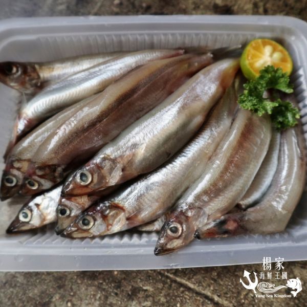 蛋蛋柳葉魚(含卵) 每盒300g  約14隻 