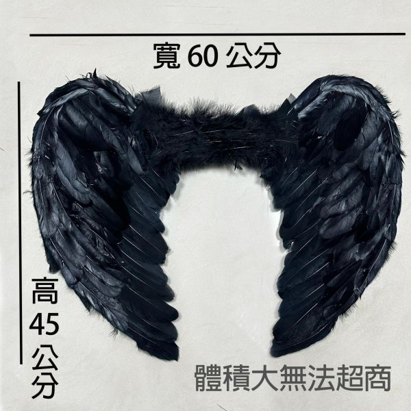 變裝派對小惡魔翅膀 天使翅膀 變裝派對小惡魔翅膀 天使翅膀 蝙蝠翅膀 筱雅衣舖【A01】攝影寫真道具 羽毛翅膀租借 羽毛翅膀