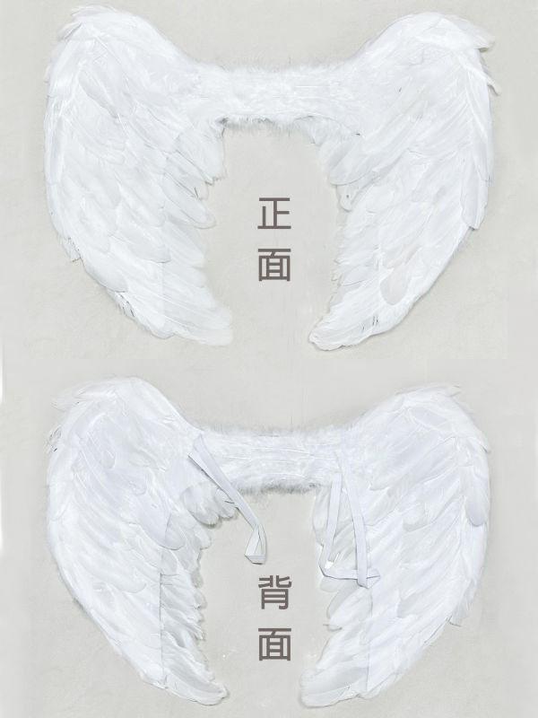 變裝派對小惡魔翅膀 天使翅膀 變裝派對小惡魔翅膀 天使翅膀 蝙蝠翅膀 筱雅衣舖【A01】攝影寫真道具 羽毛翅膀租借 羽毛翅膀
