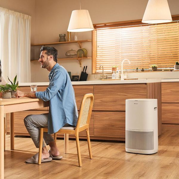 ＊錦達＊【符合貨物稅補助】瑞士 Blueair 二合一清淨除濕機 D26i ｜一級效能｜全新公司貨 D26i,抗過敏空氣清淨機 哪裡買,台灣潮濕氣候家電 推薦2026,活性碳濾網,可申請貨物稅補助 除濕機,高CP值除濕機推薦 2026,恆隆行,除濕清淨二合一 推薦 ,Blueair 家電推薦,多功能空氣清淨除濕機,梅雨季家電必備,TP03,Blueair