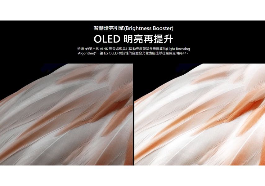 樂金 LG OLED evo C3極緻系列 4K AI 物聯網智慧電視 OLED83C3PSA / 83吋 (可壁掛) LG,OLED,QLED,C3系列,QNED,NANO,樂金,OLED83C3PSA,AI,4K,物聯網智慧電視,永昌電器,錦達數位,SAMSUNG,三星,TCL,OLED83G3PSA,OLED77C3PSA