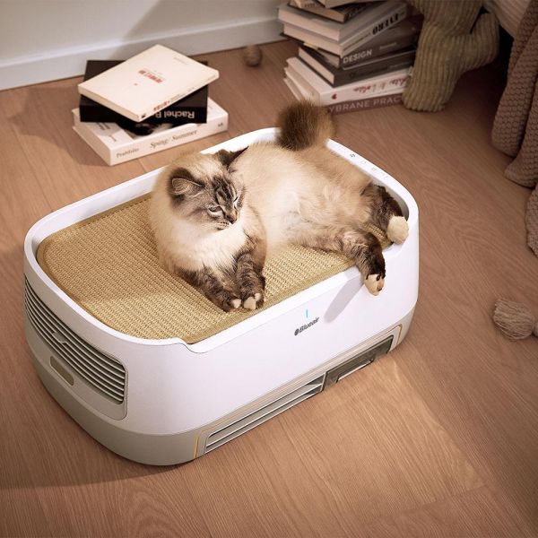 ＊錦達＊【獨家寵物窩設計】瑞士 Blueair Bururu 噗嚕嚕 三合一寵物清淨機｜除臭 / 浮毛 / 清淨 Blueair Bururu,噗嚕嚕 寵物 清淨機 哪裡買,養狗家庭清淨機 推薦2026,貓奴空氣清淨機,寵物除臭清淨機,空氣清淨機,寵物家庭家電推薦 2026,恆隆行,HEPA空氣清淨機 推薦2026 ,Blueair 家電推薦,高CP值空氣清淨機,客廳空氣清淨機 推薦,Blueair 家電推薦