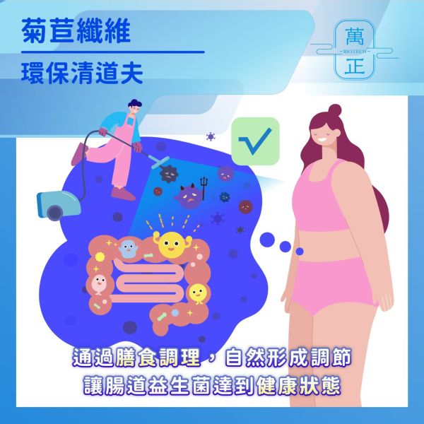萬正生技 比利時第一品牌 菊苣纖維 體內環保好幫手 7包贈維生素D+K 