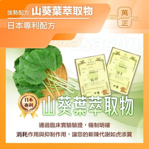 阿糖版 食在輕鬆低碳蛋白飲 乳清混大豆蛋白 山葵 非基改 奶素 