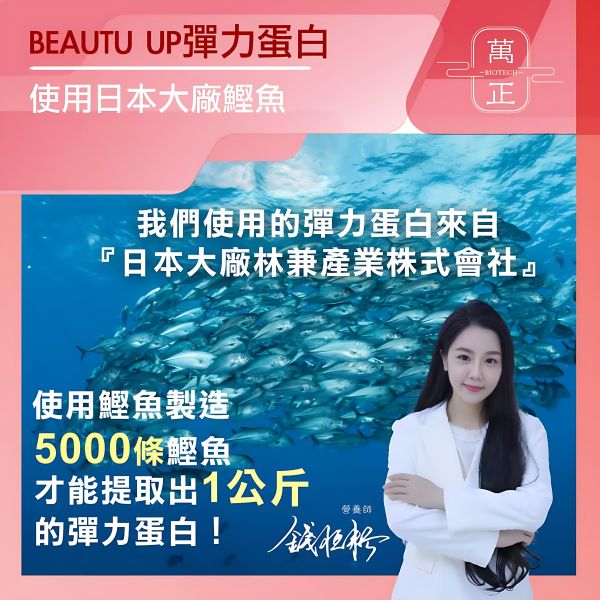 BEAUTY UP彈力蛋白膠囊  多效合一  食用膠原白宜調要再加上彈力蛋白才真正有效 