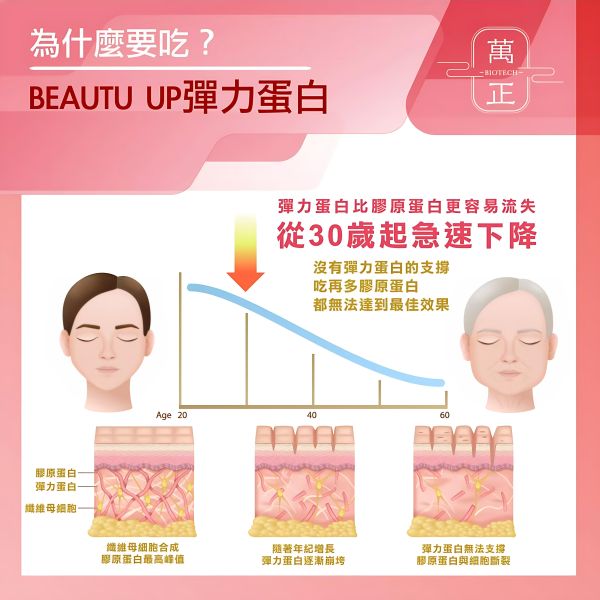 BEAUTY UP彈力蛋白膠囊  多效合一  食用膠原白宜調要再加上彈力蛋白才真正有效 