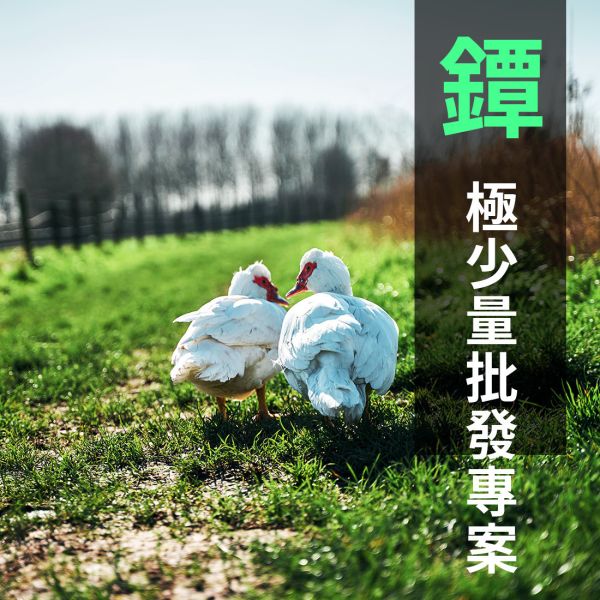鈦箸之峯- 鐔 - 極限量批發專案 