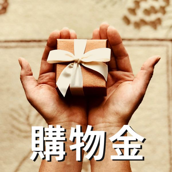 購物金 - 1:1 無使用期限 