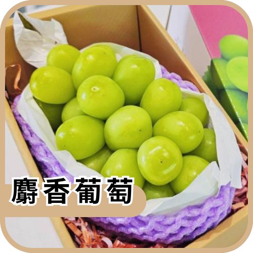 麝香葡萄