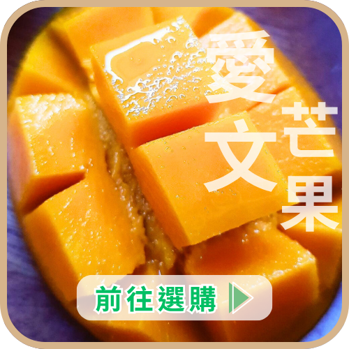 愛文芒果CTA