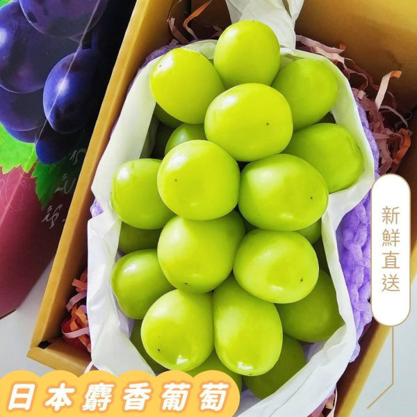 日本麝香葡萄圓潤飽滿