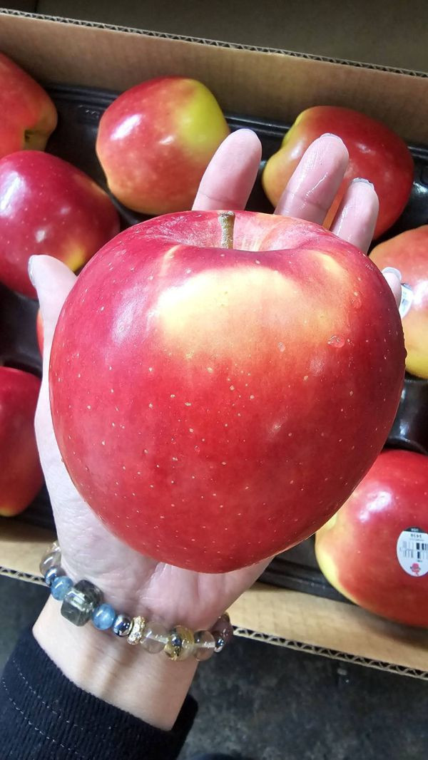 美國 黃金蘋果 - 特殊清香 香甜可口 