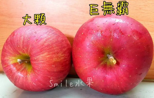 直播 -日本紅顏姬蘋果  -完全零負評 