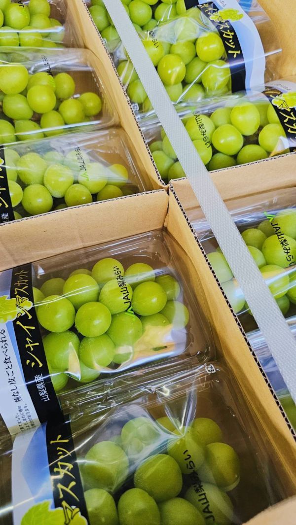 直播 日本 麝香葡萄PC盒-山梨或長野 
