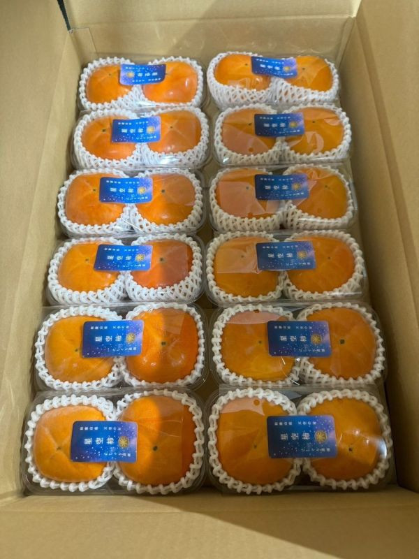 日本樹上完熟芝麻柿 日本芝麻柿、星空柿、日本甜柿、進口高級水果、秋冬水果禮盒、甜柿推薦、Smile水果、日本原裝進口、柿子預購、頂級果物