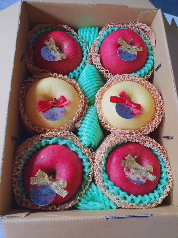 6顆雙拼(精美版) 