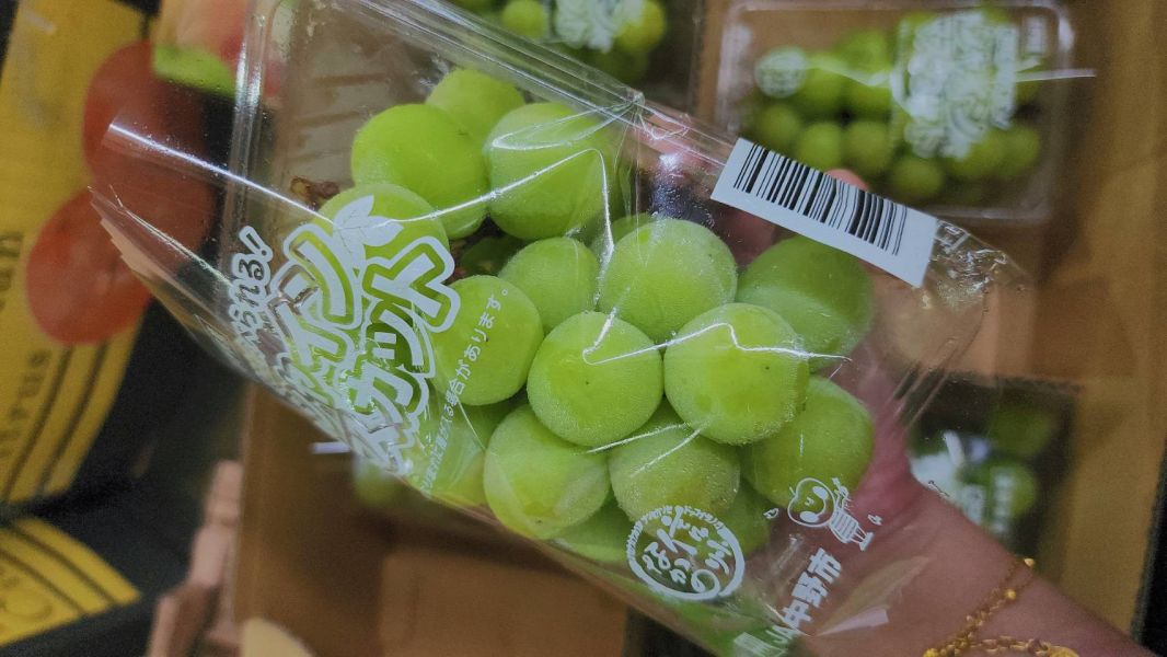 日本  麝香葡萄-PC盒 禮盒裝 