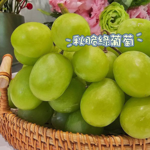 直播 秋脆-綠無籽葡萄 