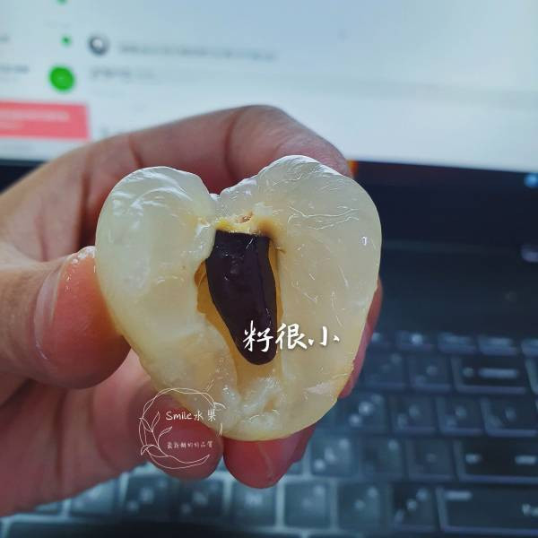 旺荔荔枝｜全台獨家品種・甜度20度 Smile水果,微笑甜果,旺荔,旺荔荔枝,台農2號,獨家荔枝品種,荔枝宅配,高甜度荔枝,產地直送荔枝,荔枝禮盒,送禮水果,旺荔 玉荷包