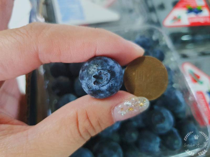 美國藍莓 美國藍莓