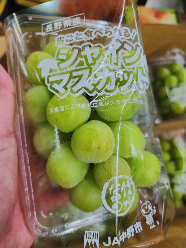 日本  麝香葡萄-PC盒 禮盒裝 