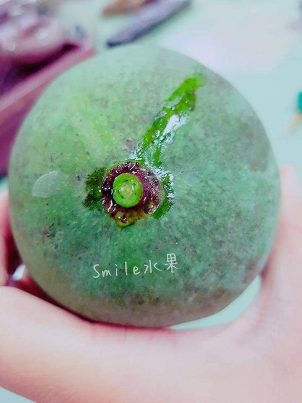 預購 黑香芒果(龍眼味-整箱) 