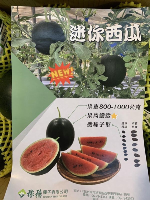 黑皮西瓜-好好吃唷 