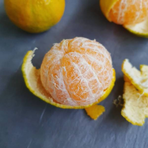 (預購-12月中出貨)苗栗爆汁帝王柑 