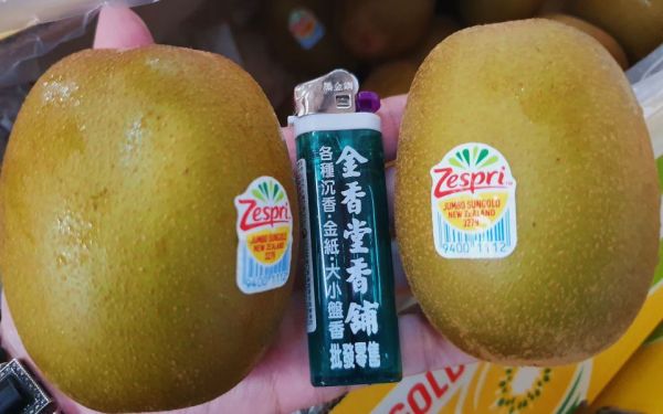 直播 紐西蘭黃金奇異果【巨無霸】 