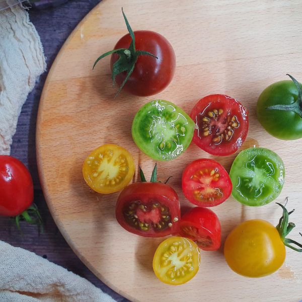 溫室彩虹小番茄 - 不施農藥的健康好選擇 