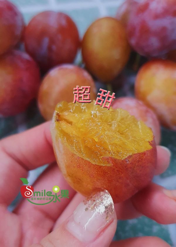 智利 蜜糖棗-佈滿蜜點點 好好吃的甜蜜 