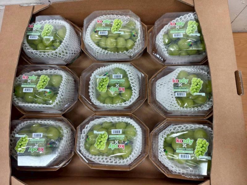 韓國麝香葡萄-優惠版 韓國麝香葡萄、進口水果、精品水果、甜香葡萄、節慶送禮、水果禮盒推薦、冷藏宅配、新鮮水果、禮盒首選、Smile水果