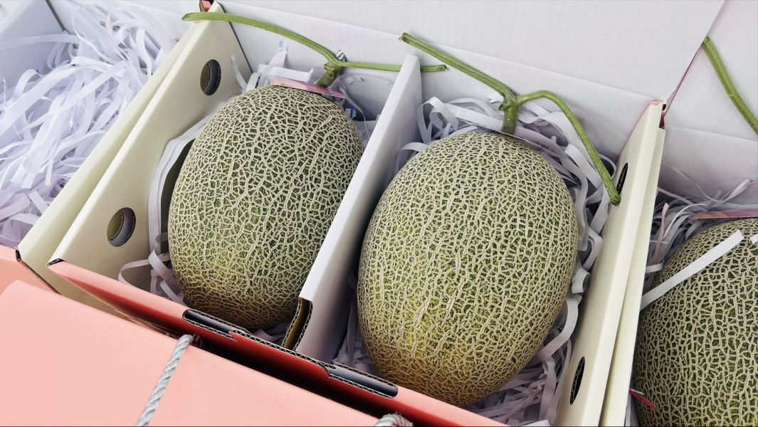 台灣溫室卡蜜拉哈蜜瓜 台灣卡蜜拉哈密瓜,
卡蜜拉哈密瓜,
台灣哈密瓜推薦,
溫室哈密瓜,
高甜度哈密瓜,
送禮水果推薦,
Smile水果,
水果宅配