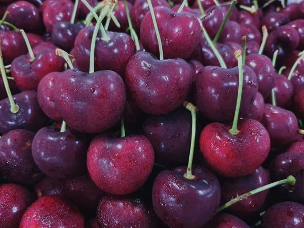 直播  智利黑櫻4JD櫻桃-超級巨無霸 