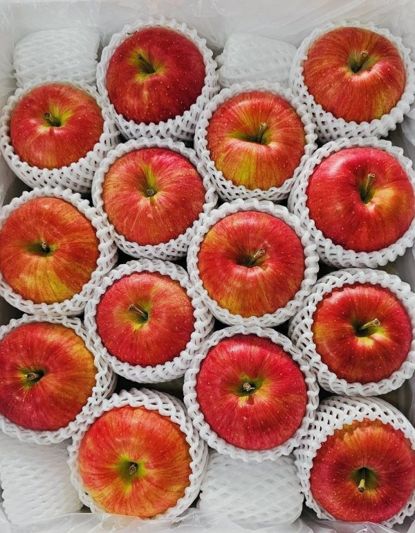 日本大弘蜜蘋果 日本大弘蜜蘋果、日本蘋果、青森蘋果、紅顏姬、進口水果、脆甜蘋果、鮮甜多汁、節慶送禮、蘋果推薦,微笑甜果,Smile水果