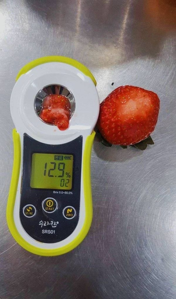 紐西蘭好吃草莓 